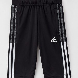 Бриджи adidas